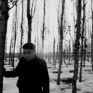 Altenem（翻自 Ayken）