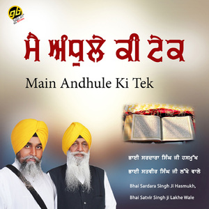 Main Andhule Ki Tek