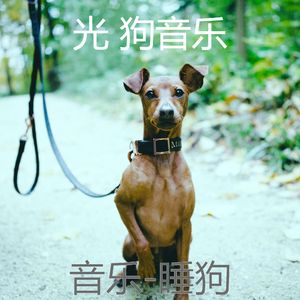 睡觉的小狗(愉快)