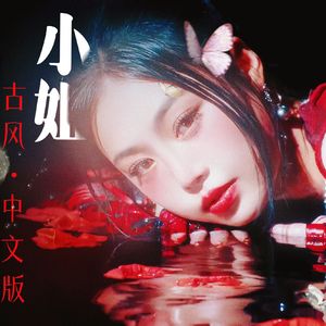 小姐 · 古言画本风 中文版