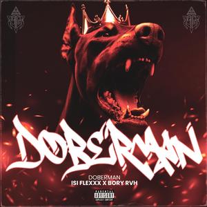 Doberman