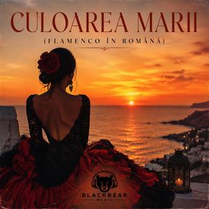 Culoarea Marii