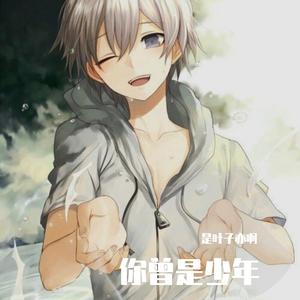 你曾是少年