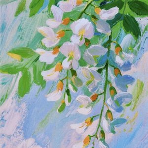 槐花一百年的梦