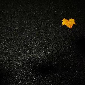 春风十里（Cover 鹿先森乐队）