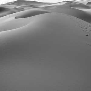 ONE OF THE GIRLS (Cover)