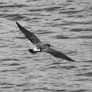 [FREE BEAT]JAZZ TYPE BEAT'SOUL VIBE'