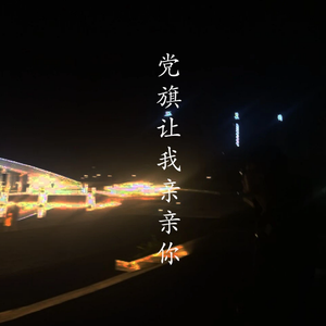 党旗，让我亲亲你