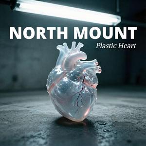 Plastic Heart