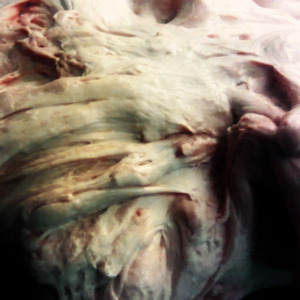 Blendistortion
