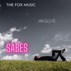 SABES