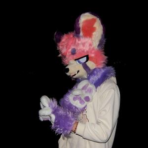 I can't do this again