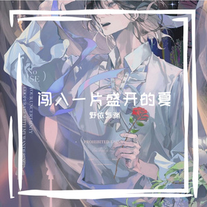 闯入一片盛开的夏