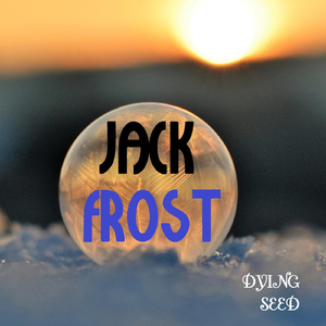 Jack Frost