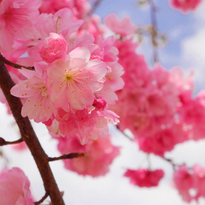 王小烦，你的北京不孤单