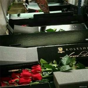 不再向谁靠近