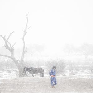 舞蹈曲 草原的故事