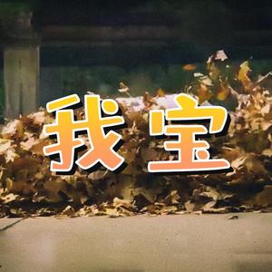 我宝