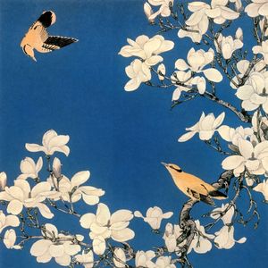 玉兰花xChineseBEAT