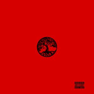 Aura (feat. Damnagedkids)