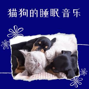 宠物安眠曲
