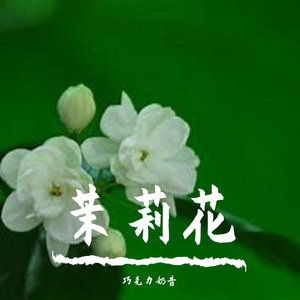 Jasminum sambac（扬琴&笛子）