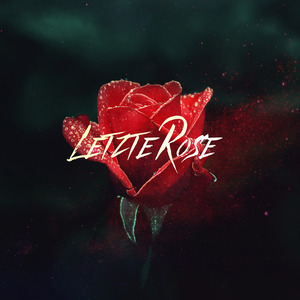 Letzte Rose