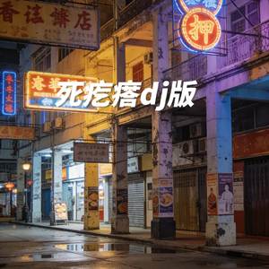 死疙瘩dj版