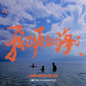 我已经看过海了