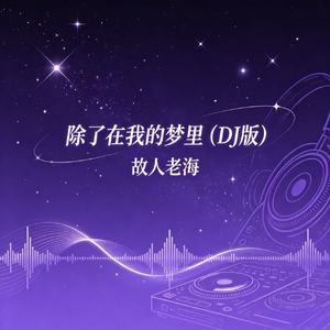 除了在我的梦里(DJ版)