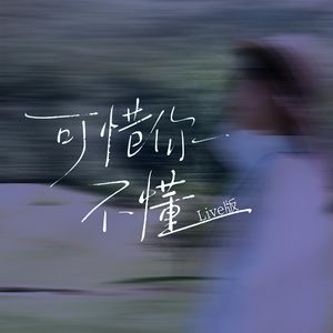 可惜你不懂（live版）