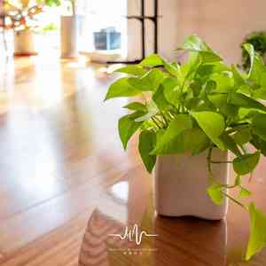 思念的雨 (吉他)