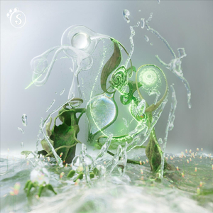 Slow Kiss (feat. Paupières Lourdes)