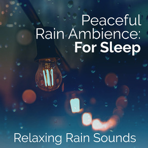 Tree Branch Raindrops