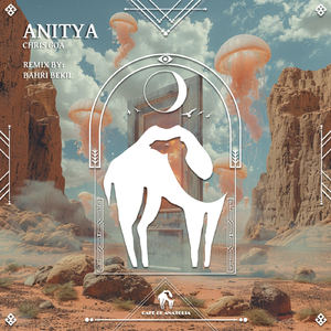 Anitya (Bahri Bekil Remix)