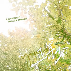 正年少（《某某》广播剧破亿纪念曲）（原唱：Mario/动点/柏鹿/陈亦洺）