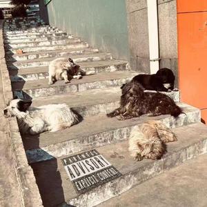 偏执 Parano1a（Prod.JWHALC）