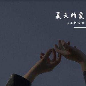 夏天的爱