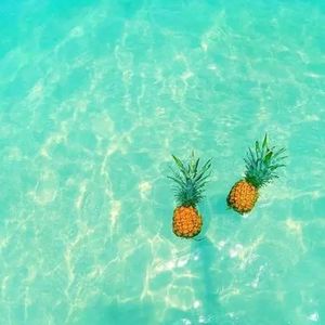 夏天海边的热恋