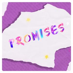 Promises (feat. Pikatrainer & Mr_McPippens)