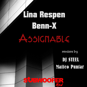 Assignable (Dj Steel Remix)