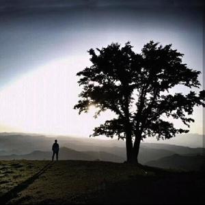 百战成诗—幽幽子