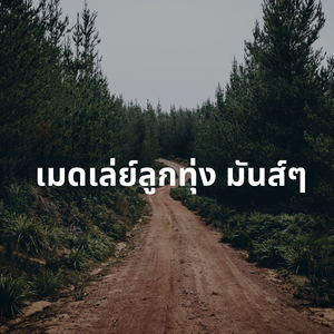 เมดเล่ย์ลูกทุ่ง มันส์ๆ