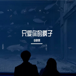 文博-只爱你的疯子（李晓贵 remix）