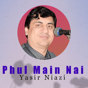 Phul Main Nai