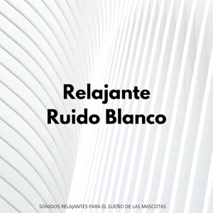 Estática Para Una Mascota Calma