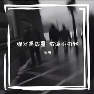 缘分是泼墨 浓淡不由我