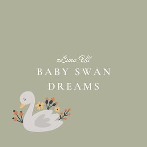 Baby Swan Dreams