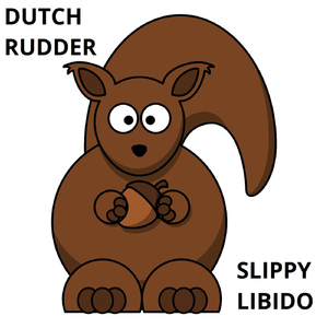 Dutch Rudder