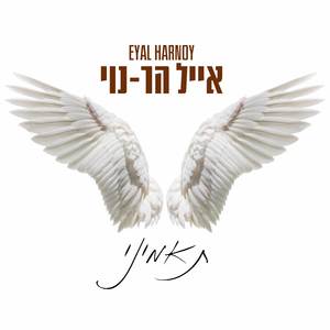 תאמיני (Radio Version)